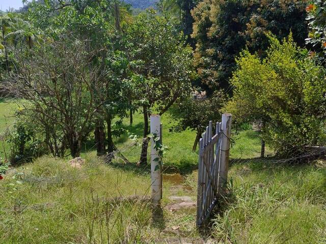 Venda em Manoel de Nóbrega - Pedro de Toledo